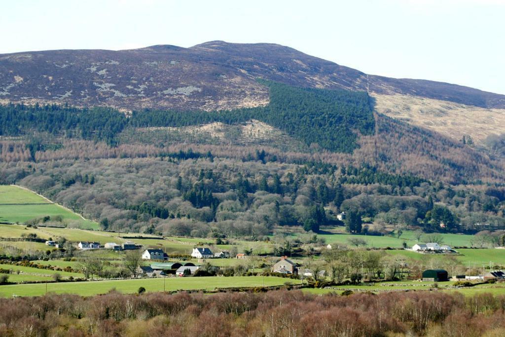 Yewwood Cottage Newry Esterno foto